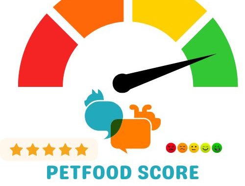 Présentation des services informatiques du Petfood-score
